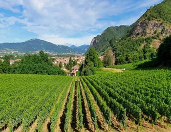 IL FASCINO DEL CASTELLO DI BONORIS e i SAPORI DELLA FRANCIACORTA
