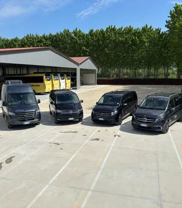 Official car hire with or without driver